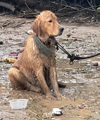 �����Ͻ�ë���б�˩��ر��鰧Թ �����ߣ����˼����˵�С��