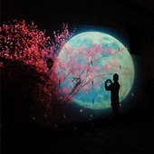 ҹ��÷����