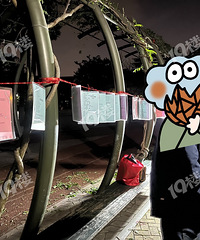 ������Ź�԰Ҳ�����׽ǣ��ܶ����尢�����ڸ������Ҷ���