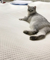 ˮů̺ �ȵ���̺Ҫ���ã�