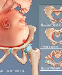 ˳��vs�ʹ����ĸ��ã���7�㽫��ȱ��ȫ���� ������Ҳ�����ᣡ