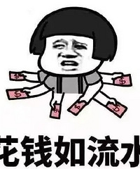 ��ǰ���Ϲ�������һ�׷� �����׷����Ҹó�Ǯװ����