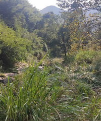 ȥɽ���徻һ�°� �������ȥСϪ��Ұ��