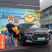 ��������dmi252