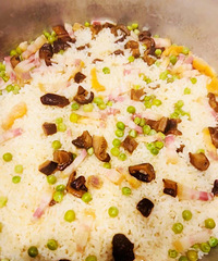 ��ȥ����һ�� ����������Ұ�� С�����ǿ�ϲ�����Ұ�׷�