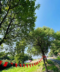 ��ȥ����һ�� ����������Ұ�� С�����ǿ�ϲ�����Ұ�׷�