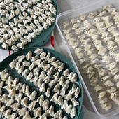 ���ӵ�����С���