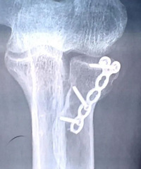 ������ˤ�����⣡�����밢�̣�����10�򣡾������߷��ɳ���