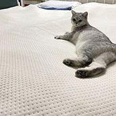 ˮů̺��֪����