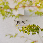 ����ɫ������