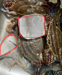 ����з�﷢����ô��ı��飡�����й�����������ô��