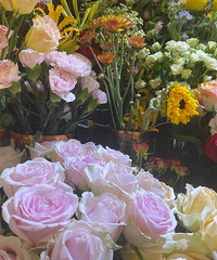 97�������ڱ�Ů��ʦ �Ȱ��������Լ� Ѱ�����з�������