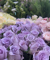 97�������ڱ�Ů��ʦ �Ȱ��������Լ� Ѱ�����з�������