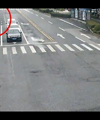 һ��������3����ƣ����˽����������������