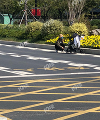 ��ҳ������Ӥ����ͣ�ڴ���·�� �����������...