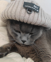 �Դӱ��������� ��˥����˯���� ��������ô�ˣ���