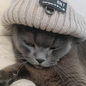 ���޺���˥����