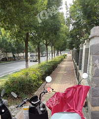 ����ͣ��λ��զ��ģ�ä������ ����·�ĵ�Ҳû�ˣ�