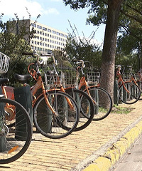 ���˹������г�׮ͷȫ�����������ȥ�ﳵ1Сʱ����ѣ���������