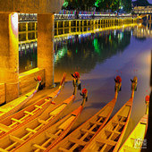 ����ͣ��������