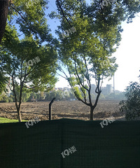 ������԰�ϲ��һ��Ƭ�ɷ��Ӷ�����ˣ������칫԰��