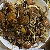 ����20ֻ�з