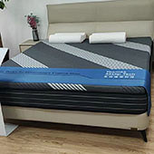 �����齺����