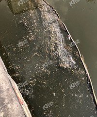 �ͳ������Ǻ����㶼�������ˣ���ô���£�