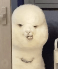 72Сʱ������˻��ܽ�ҽԺ��