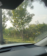 �Ϻ��������С·����·��һ֧�ƻ�����������·���С�