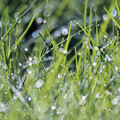 ������糿̫������