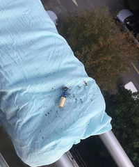 Ԫһ��ׯ��Ͷ���֡���˫��������ҵ���ع⣡֮ǰ�Ѿ��������ˡ�