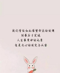 ΪʲôҪȥ��������������μӻ����أ�������ѿ���̫��