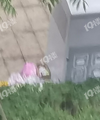[����]����С������������ˣ�ҵ������ Ҳû����ʰ��