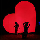 ��ð���½����Ⱦ