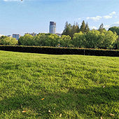 ����ѧ�������ü���