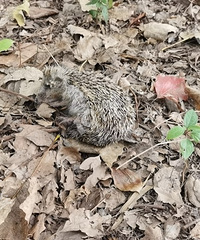 �����������빫԰���������˵Ĵ�� ��ҵ�ֵ绰Ҳ��ͨ