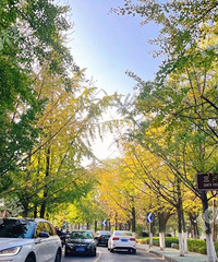 ����·��ʼ���ˣ�Ԥ�ƽ���������ĩ�ܿ������־�ͷ�����ˣ�