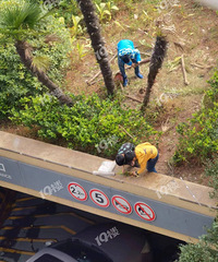 �ܺ�����С�������µ��Ϸ����֣����Ӷ�������߶�ʵ��Σ�հ���