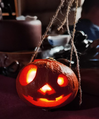 ��ʥ���׶�԰���������Ϲϵ� ��������̫���� ��ǰһ��ݾ�����