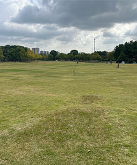 ��ĩ����ȥ�ٶ���԰¶Ӫ�����򡢷ŷ��� ������������