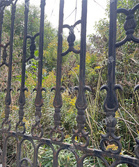 �ּ����ô�һ֦�ƻ����Ͻ�����������