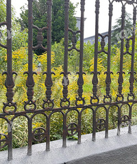 �ּ����ô�һ֦�ƻ����Ͻ�����������