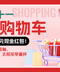 ɹ˫ʮһﹺﳵ ʹ ϴ ͱ