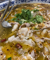 ˫��̥����� ���˵��������