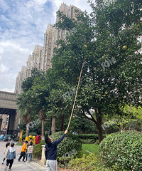 С�����������ܺ���˭���ܣ�