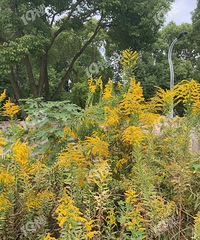 ���־��ĵ��˼��ô�ƻ����������ں��񵽴����ǰ���