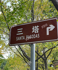 ʵ�ģ���������·������Ҷ����ˣ����������ڿ������������ˣ�