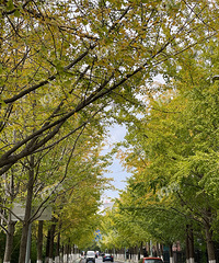 ʵ�ģ���������·������Ҷ����ˣ����������ڿ������������ˣ�