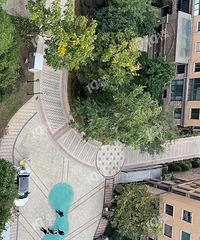 Ī�λ�԰С�����ִ�ף���˭֪����զ�����